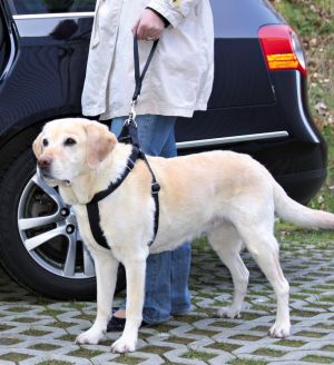 Trixie UCHWYT DO OBROŻY 27x4.5cm 2