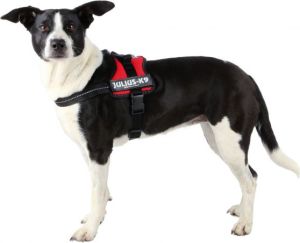 Trixie Szelki Julius-K9 , Mini/M: 51–67 cm, czerwone 2