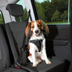 Trixie Szelki samochodowe Dog Protect S-M: 40–55 cm/20 mm czarny 1