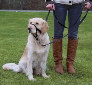 Trixie uprząż Top Trainer - M 27cm 2