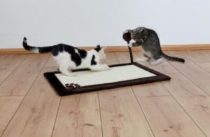 Trixie DRAPAK DLA KOTA MATA 70x45cm Z PLUSZEM CIEMNY BRĄZ 2