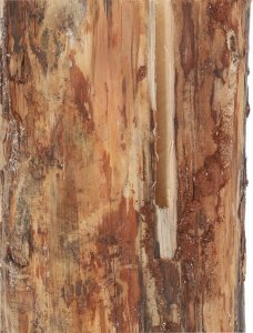 Kotarbau SZWEDZKI OGIEŃ KUCHNIA POLOWA PIENIEK OGNISKO GRIL 5