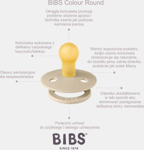 Bibs BIBS COLOUR FOSSIL GREY M Smoczek Uspokajający kauczuk Hevea 2