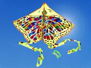 Adar Latawiec 555914 Adar mix cena za 1 szt 9