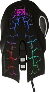 Laptop Techbite ZESTAW Laptop Techbite ZIN 4 + mysz + podkładka + Game Pass 3