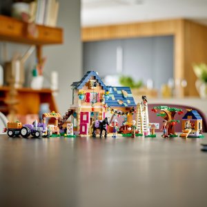 LEGO  Friends Ekologiczna farma (41721) 4