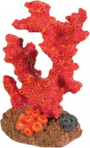 Trixie ZESTAW 12 KORALOWCÓW 3