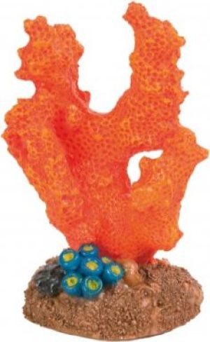 Trixie ZESTAW 12 KORALOWCÓW 4