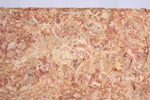 Trixie Podłoże Mech Torfowiec (Sphagnum) 100g 2