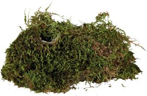 Trixie Mech subtrat do wilgotnych terarriów 200g 2