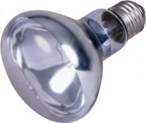 Trixie Punktowa lampa grzewcza neodymowa, 100W 2