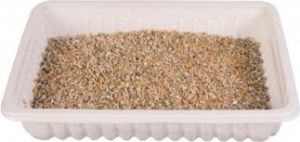 Trixie TRAWA DLA KOTA W POJEMNIKU 100g 2