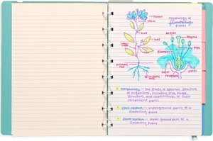Ooly Ooly - pióra wieczne - zakreślacze - 2w1 5