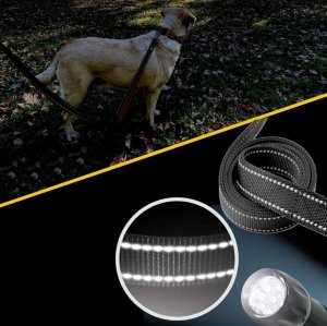 Wobell Smycz Linka Taśma Treningowa Długa dla Psa Mocna 5M odblaskowa 11