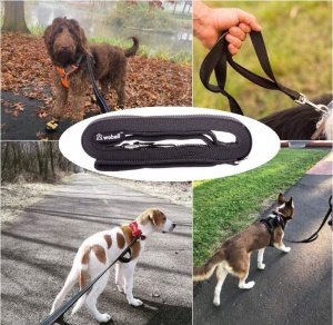 Wobell Smycz Linka Taśma Treningowa Długa dla Psa Mocna 5M odblaskowa 13