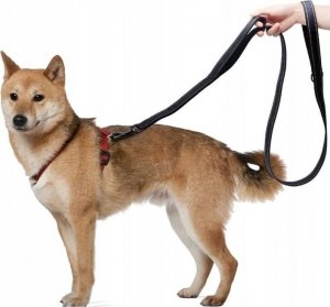 Wobell Smycz Linka Taśma Treningowa Długa dla Psa Mocna 5M odblaskowa 14