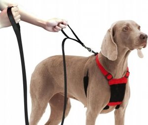 Wobell Smycz Linka Taśma Treningowa Długa dla Psa Mocna 5M odblaskowa 16