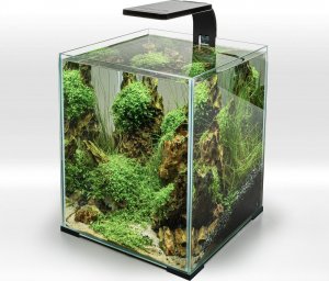 Aquael Aquael Moduł Oświetleniowy Leddy Smart 4,8W Plant D&N czarny 4