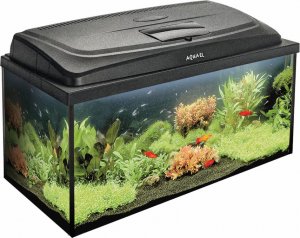 Aquael AQUAEL Zestaw Akwarystyczny AQUA4FAMILY 80/P D&N 2