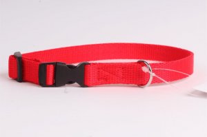 DogStuffs DogStuffs Obroża z plastikową klamrą 15mm/24-40cm czerwona 1