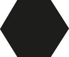 Przecinak łopatkowy 3