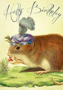 Madame Treacle Karnet B6 z kopertą Urodziny Myszka w kapeluszu 1