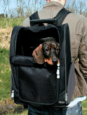 Trixie Torba 'Tbag' na psa 36x50x27 cm nylonowa czarna 2