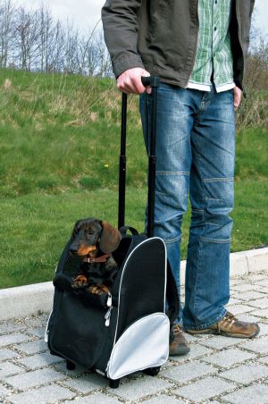 Trixie Torba 'Tbag' na psa 36x50x27 cm nylonowa czarna 3