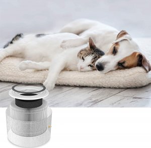 Oczyszczacz powietrza Levoit Core P350 Pet Care 2