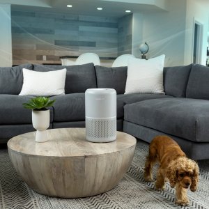 Oczyszczacz powietrza Levoit Core P350 Pet Care 6