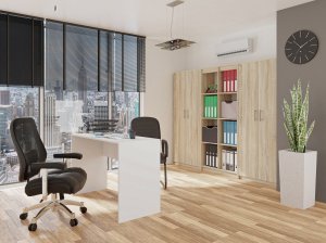 Topeshop REGAŁ BIUROWY SALON BIURO DRZWI OLIV 2D DĄB SONOMA 7