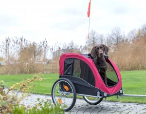 Trixie Przyczepa do roweru  58 × 52 × 79 cm czerwono/czarna do 30kg 6