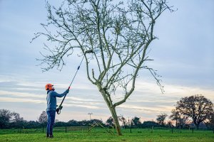 Piła łańcuchowa Bosch 06008B3100 18 V 20 cm 13