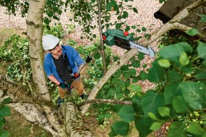 Piła łańcuchowa Bosch 06008B3100 18 V 20 cm 8