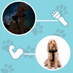 Patento Pet Bezuciskowe Szelki Dużego Dla Psa Uchwyt Guard Xl 2