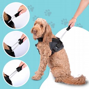 Patento Pet Bezuciskowe Szelki Dużego Dla Psa Uchwyt Guard Xl 3