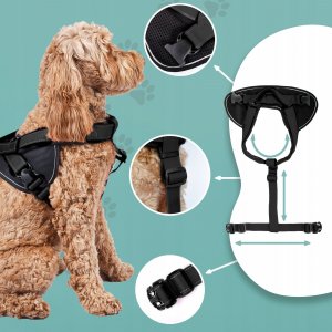 Patento Pet Bezuciskowe Szelki Dużego Dla Psa Uchwyt Guard Xl 6