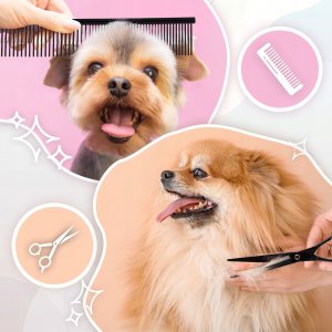 Nożyczki Fryzjerskie Groomerskie 7.0 Zestaw 3+1 grzebień degażówki dla zwierząt 2