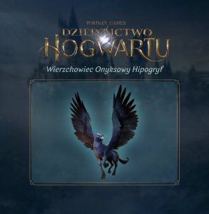 Dziedzictwo Hogwartu Xbox One 8