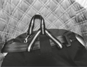 Trixie Siedzisko samochodowe 41 × 39 × 42 cm szaro-czarny 4