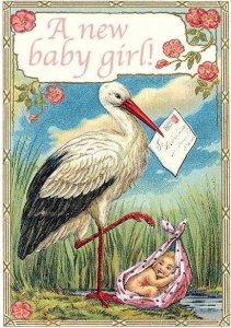 Madame Treacle Karnet B6 z kopertą Narodziny Bocian Dziewczynka 1