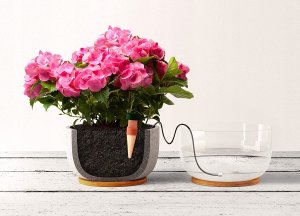 AgdExpert Nawadniacz automatyczny do kwiatów roślin doniczek ceramiczny 11