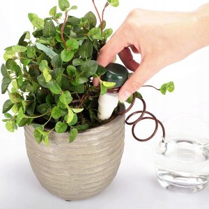 AgdExpert Nawadniacz automatyczny do kwiatów roślin doniczek ceramiczny 3