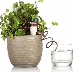 AgdExpert Nawadniacz automatyczny do kwiatów roślin doniczek ceramiczny 5
