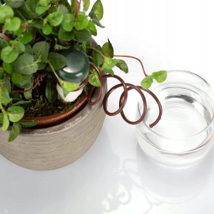 AgdExpert Nawadniacz automatyczny do kwiatów roślin doniczek ceramiczny 9