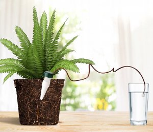 AgdExpert Nawadniacz automatyczny do kwiatów roślin doniczek ceramiczny 10