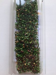 MiniNatur MiniNatur: Wczesnojesienne liście i gałęzie buku (15x4 cm) 1
