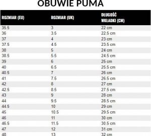 Puma BUTY PIŁKARSKIE KORKI PUMA 104984-03 3