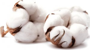 CUSSONS Pure - Żel Pod Prysznic Creamy Hydrating Z Mleczkiem Bawełnianym -  500 Ml 2