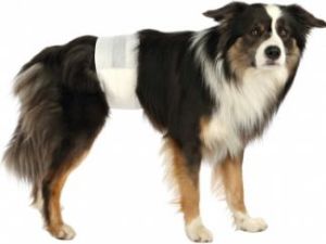 Trixie Pieluchy dla psów , S–M: 30–46 cm, 12 szt/opak 2